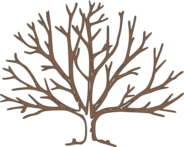 Bare Tree Template