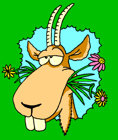 â?· Goats: Animated Images, Gifs, Pictures & Animations - 100% FREE!
