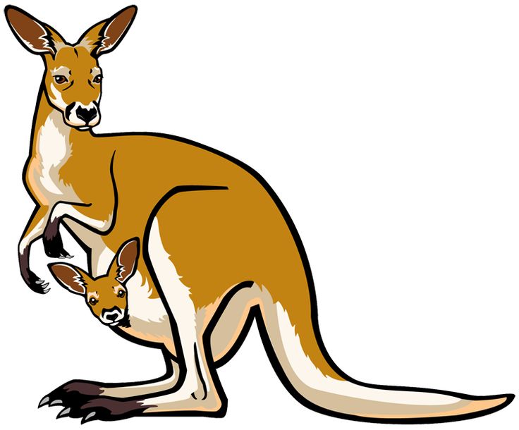 Kangaroo Clip Art - Tumundografico