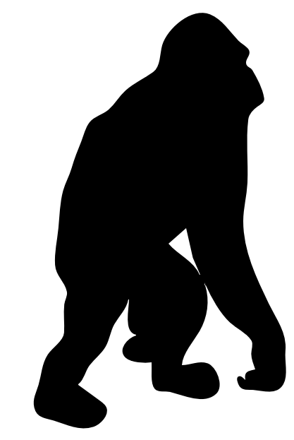 Opossum Clip Art