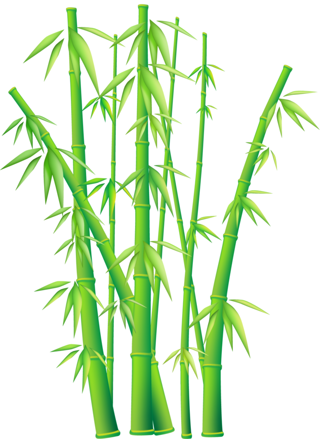 ForgetMeNot: bamboo