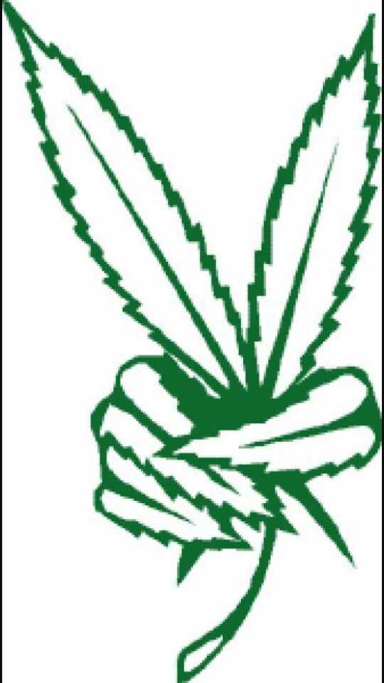 Weed Art | Stoner, Weed and Cannabis