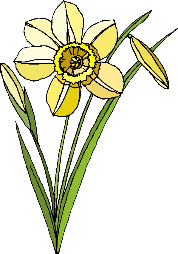 Clip Art - Clip art flowers 600973