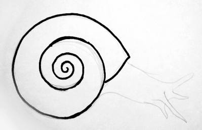 How to draw a Snail