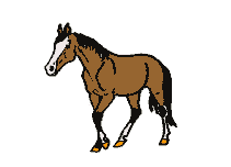 â?· Horses: Animated Images, Gifs, Pictures & Animations - 100% FREE!