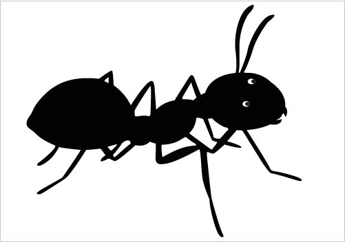 Ant Clip Art