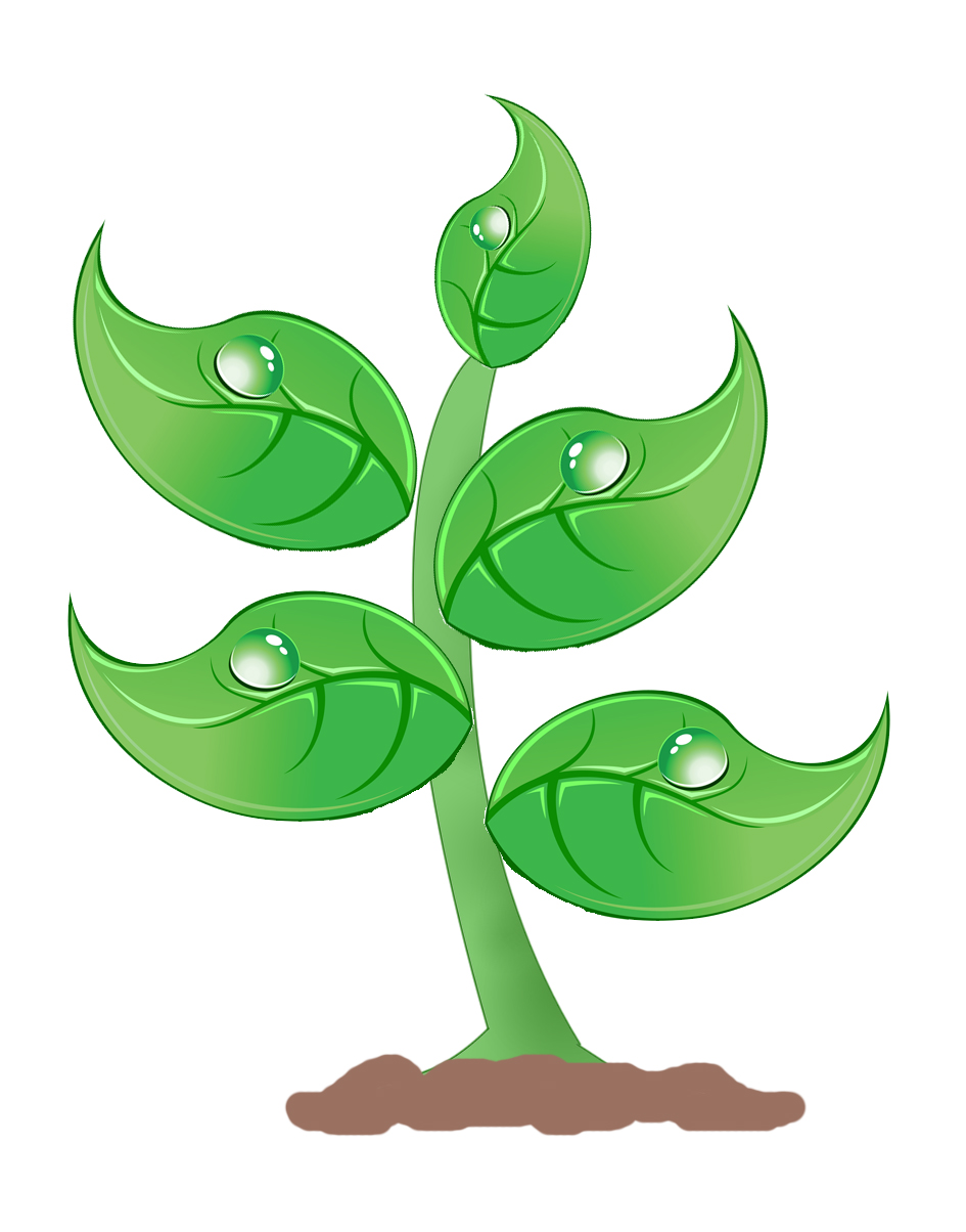 School Plants Clipart