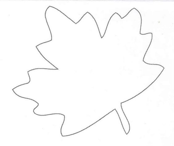 Trees, Turkey and Leaf patterns