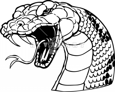 1000+ images about Snake head illustrations