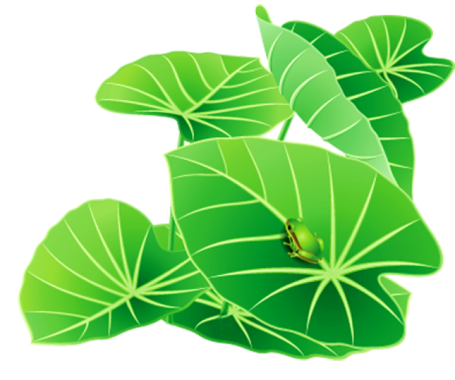 Animals Clipart Frog on Lily Pad Clipart Gallery ~ Free Clipart Images