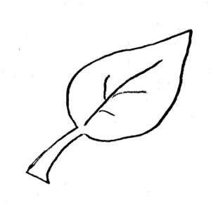 Pumpkin Leaf Printable Clipart