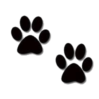 Dog Clip Art - Dog Cartoon Illustrations & Sketches