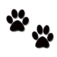 Paw Prints Clipart