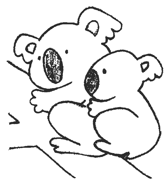 Koala coloring pages