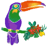 ScubaMom Gateway to Information about Exotic Plants & Palms ...