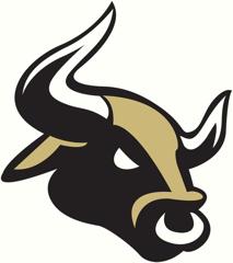 North Bank Bulls | NEFL | Northern Elite Football League