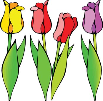 Tulip Vector - Download 76 Vectors (Page 1)