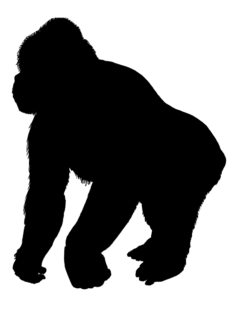 Telecanter's Receding Rules: Silhouettes XXII
