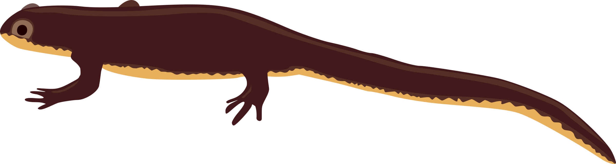 Clipart - Newt