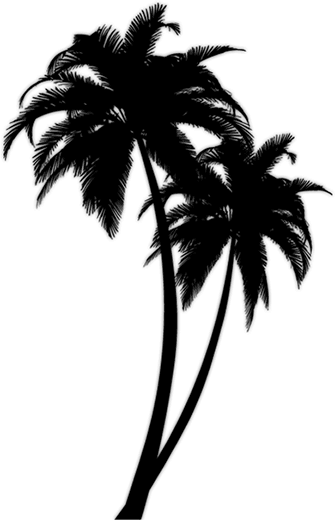 Tree Tattoos | Palm, Tree Of Life, Pine Tree Tattoo