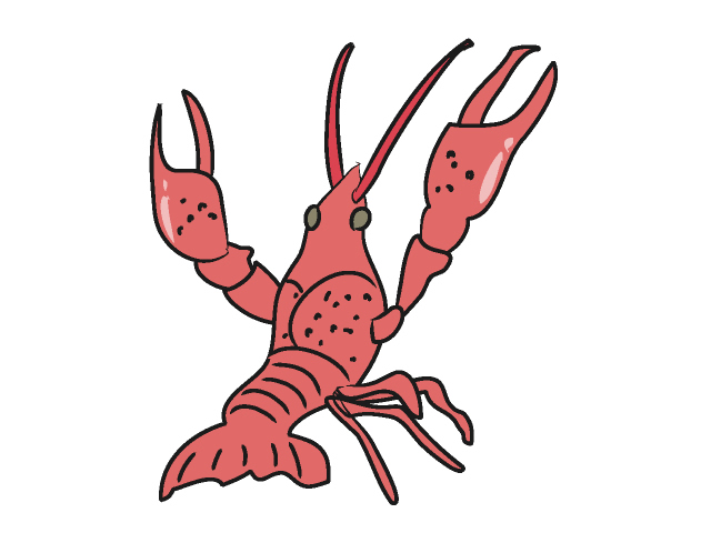Crawfish Clip Art - Tumundografico