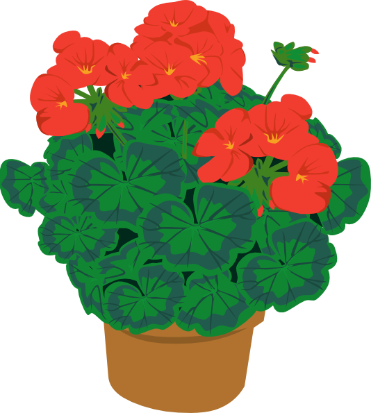 Geranium In Pot Clip Art - vector clip art online ...