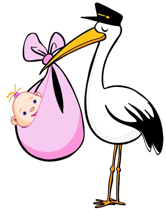 Baby bump bany boy clipart
