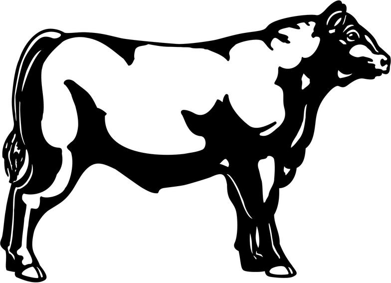 Angus Bull Silhouette Clipart