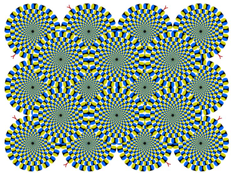 Best Optical Illusions | Optical ...