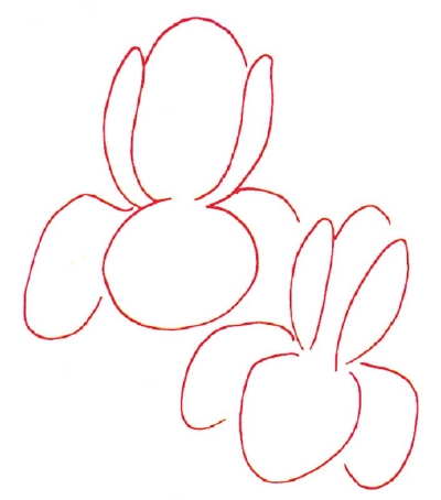 TLC "How to Draw an Iris"