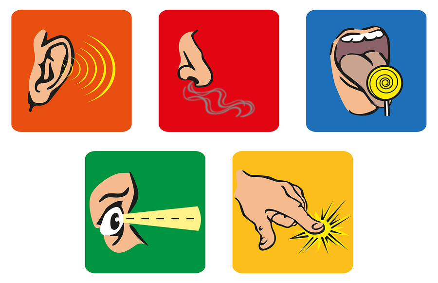Five Scribes: Using the Five Senses in Writing