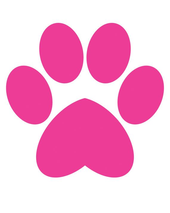 Paw Print Nails | Dog Nails, Dog ...
