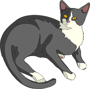 Gatto Cat clip art Free Vector / 4Vector