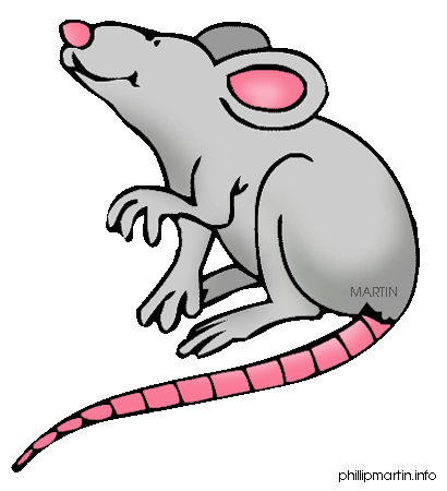 Rat clipart cute
