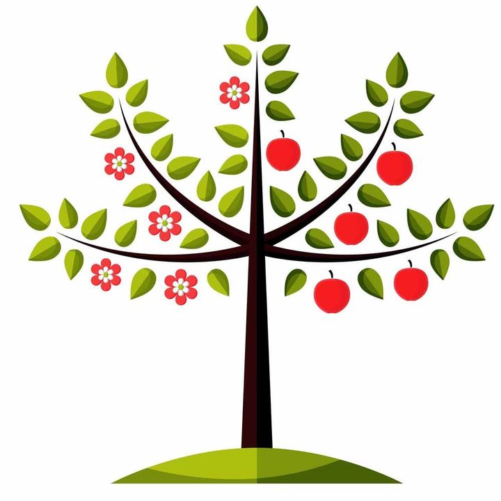 Apple Tree Seedling Clipart