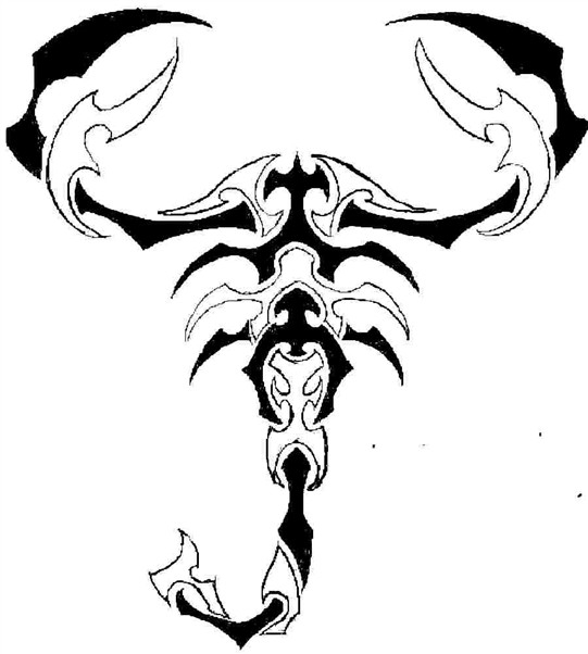 Drawings Of Scorpion - Drawing