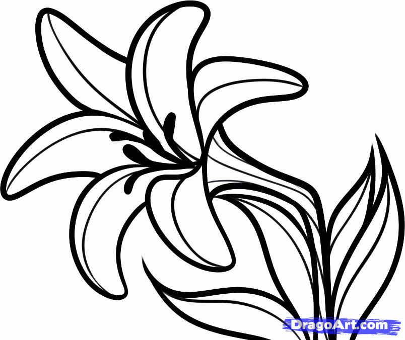 How to Draw an Easter Flower, Easter Lily, Step by Step, Easter ...