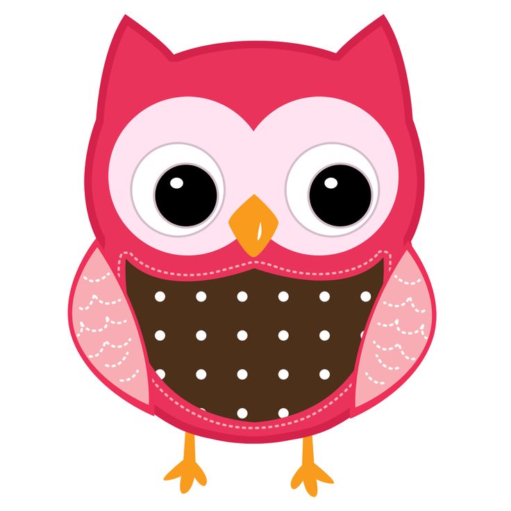 Nocturnal Bird Owl coloring pages 34 pictures cartoon clip arts ...