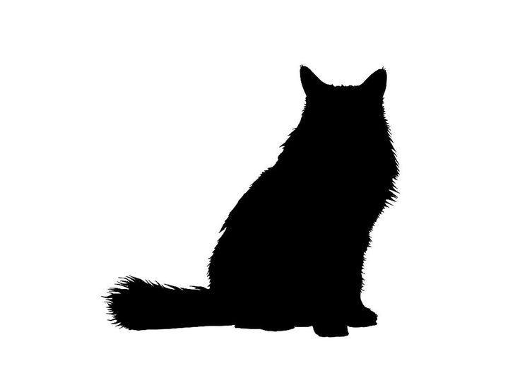 Cat Silhouette Tattoos | Silhouette ...