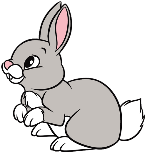 Clipart rabbit cartoon