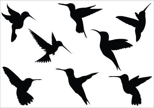 52+ Hummingbird Pictures Clip Art