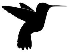 Blue and, Search and Hummingbirds