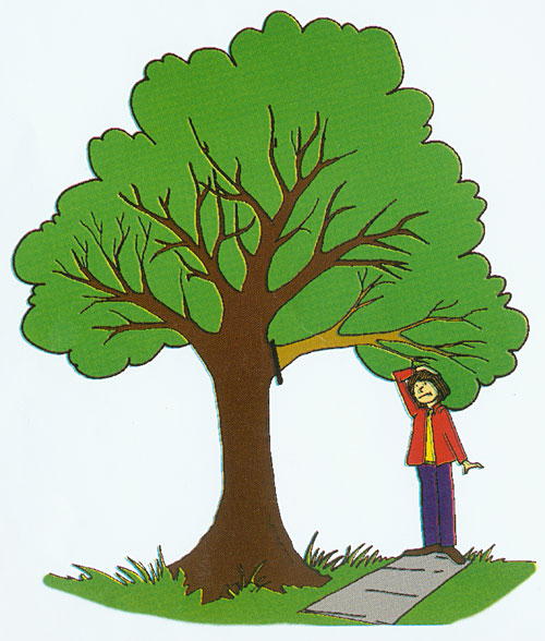 Tree With Three Branches - ClipArt Best