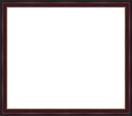 Custom Diploma Frames & Certificate Frames - Framing Success: ACP ...