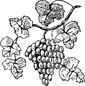 Line Drawing Of Grapes - ClipArt Best