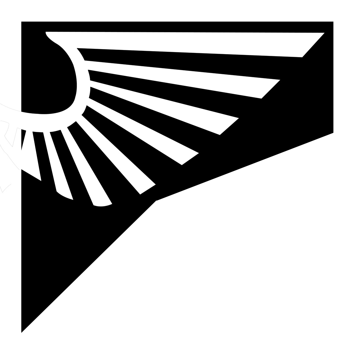 SincaiN40K: Take, these broken wings..