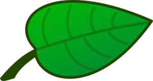 Leaf clip art - vector clip art online, royalty free &amp; public domain