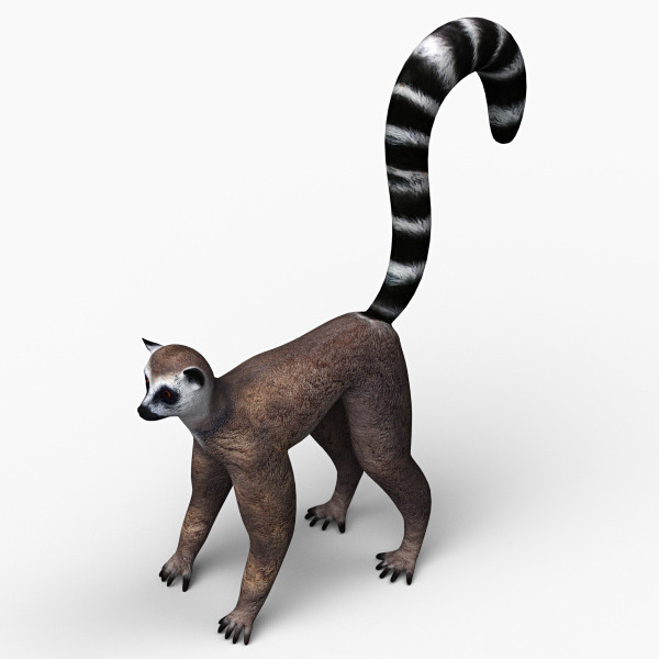 lemur 3ds