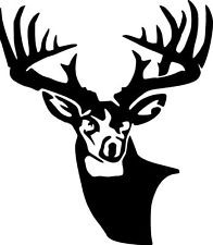 Buck Head Decal
