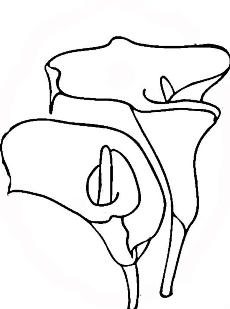 Images Of Easter Lilies | Free Download Clip Art | Free Clip Art ...